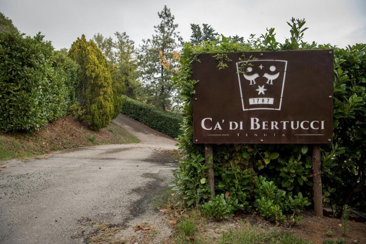 Solignano Tenuta Ca Di Bertucci 아파트 외부 사진